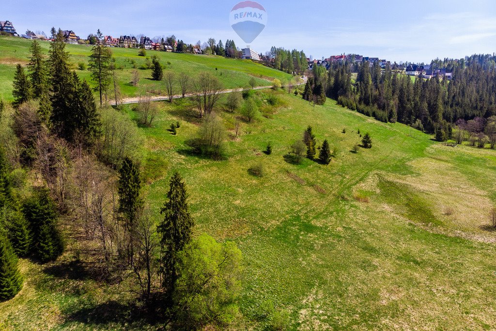 Działka rolna na sprzedaż Bukowina Tatrzańska  2 944m2 Foto 14