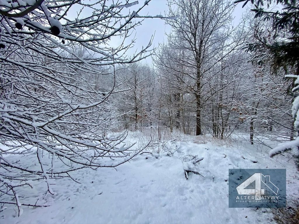Duża działka 1ha z budynkiem, lasem i widokiem Siepraw  10 400m2 Foto 1