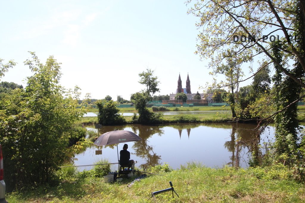 Dom na sprzedaż Wólka Policka  211m2 Foto 17