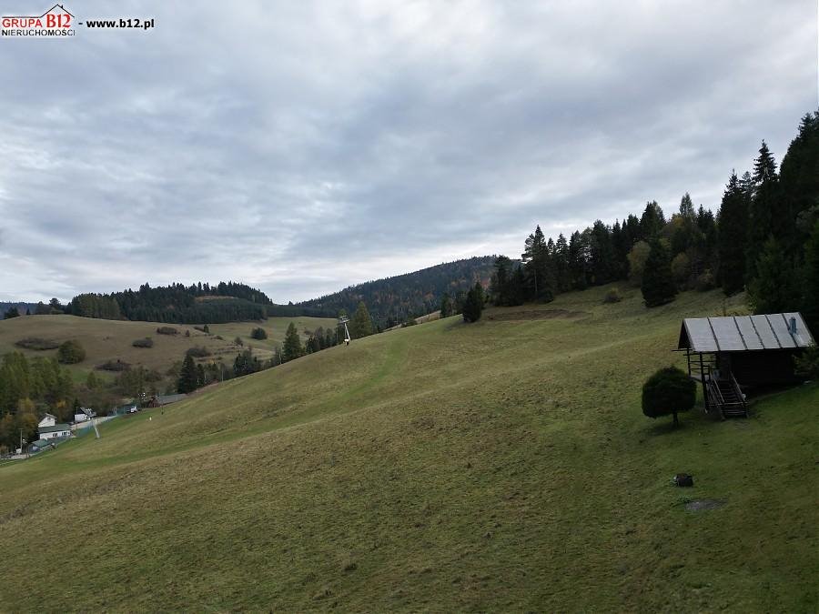 Działka rolna na sprzedaż Szczawnica, Szczawnica, Jaworki  5 015m2 Foto 1