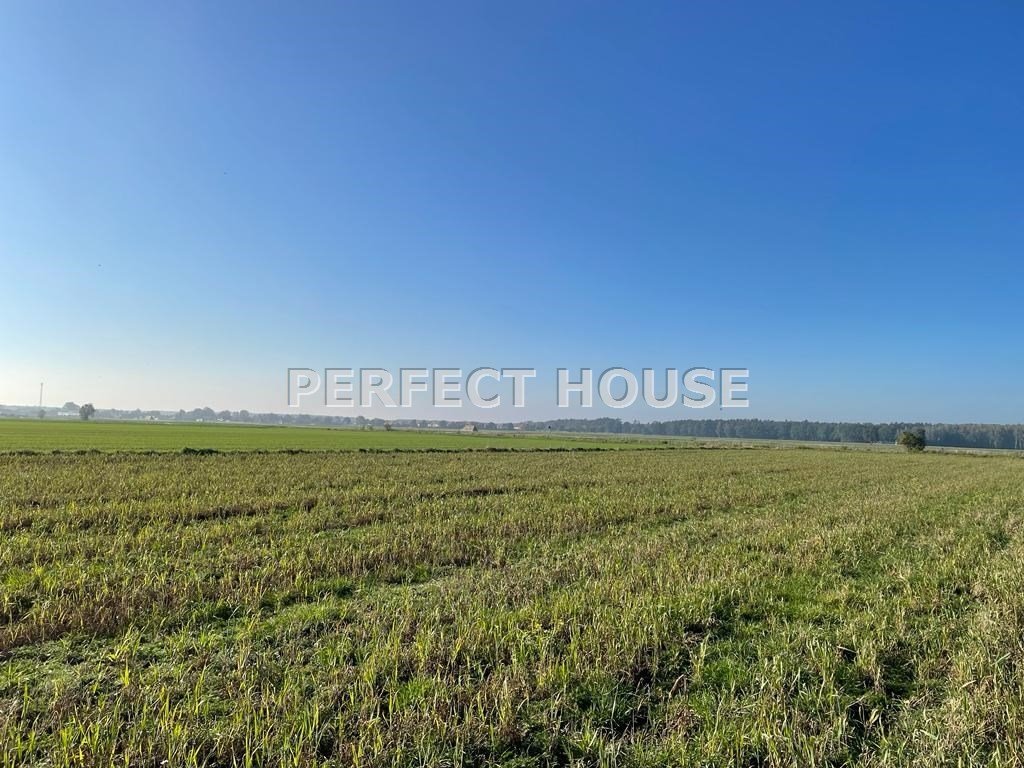 Działka 1159 m2 pod dom w Czmońiu – media, blisko natury Czmoń  1 159m2 Foto 1