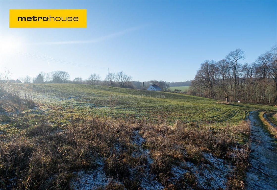 Działka budowlana na sprzedaż Okmiany  4 505m2 Foto 1