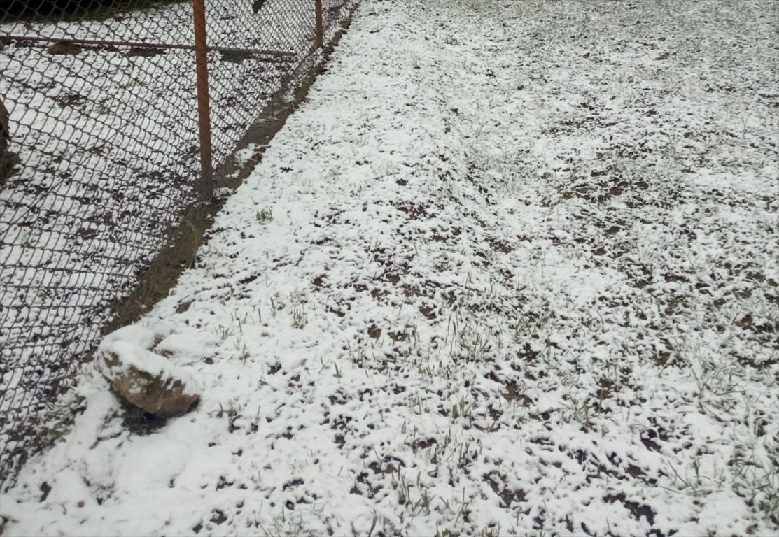 Działka budowlana na sprzedaż Dobrzyniewo Duże  2 100m2 Foto 2