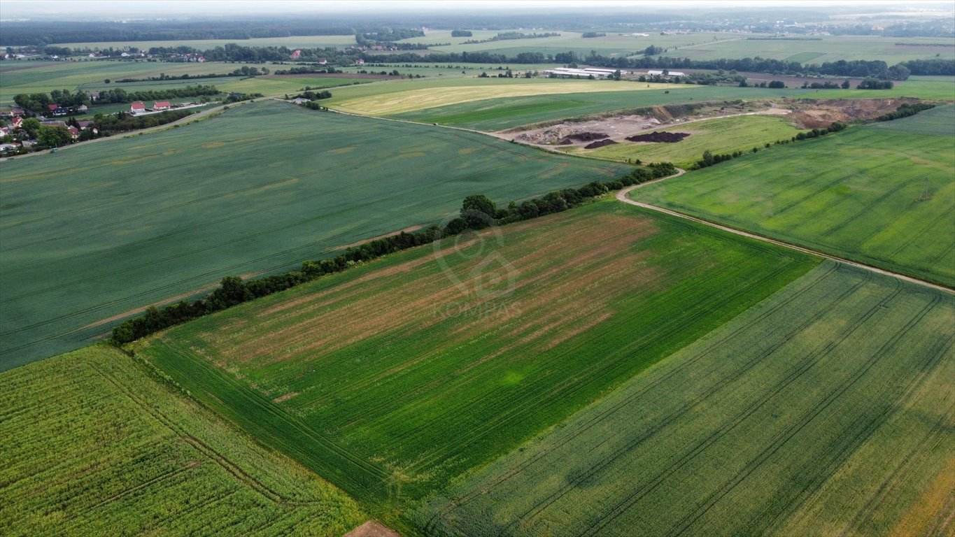 Działka rolna na sprzedaż Sędzice  26 950m2 Foto 5