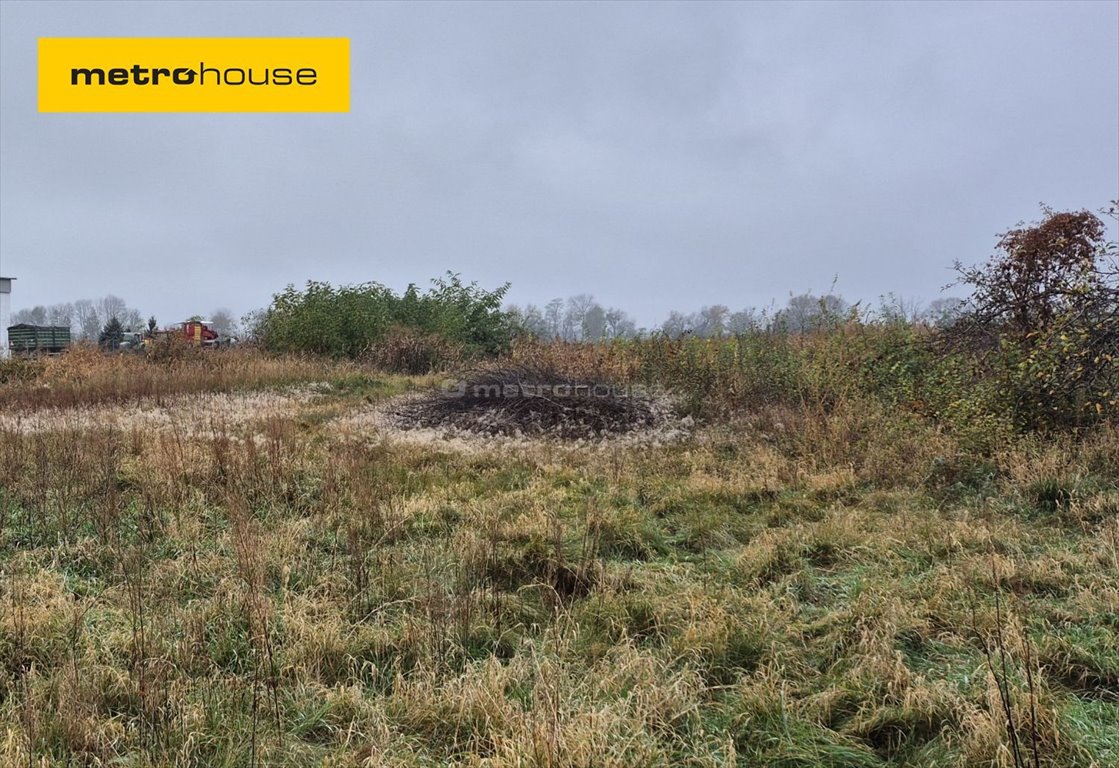 Działka inna na sprzedaż Szczytkowice, Szczytkownice  3 500m2 Foto 1