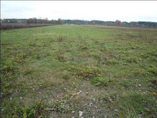 Działka 1303 m² z mediami, blisko gazu i prądu - polecam! Kąty, Kąty  1 303m2 Foto 1