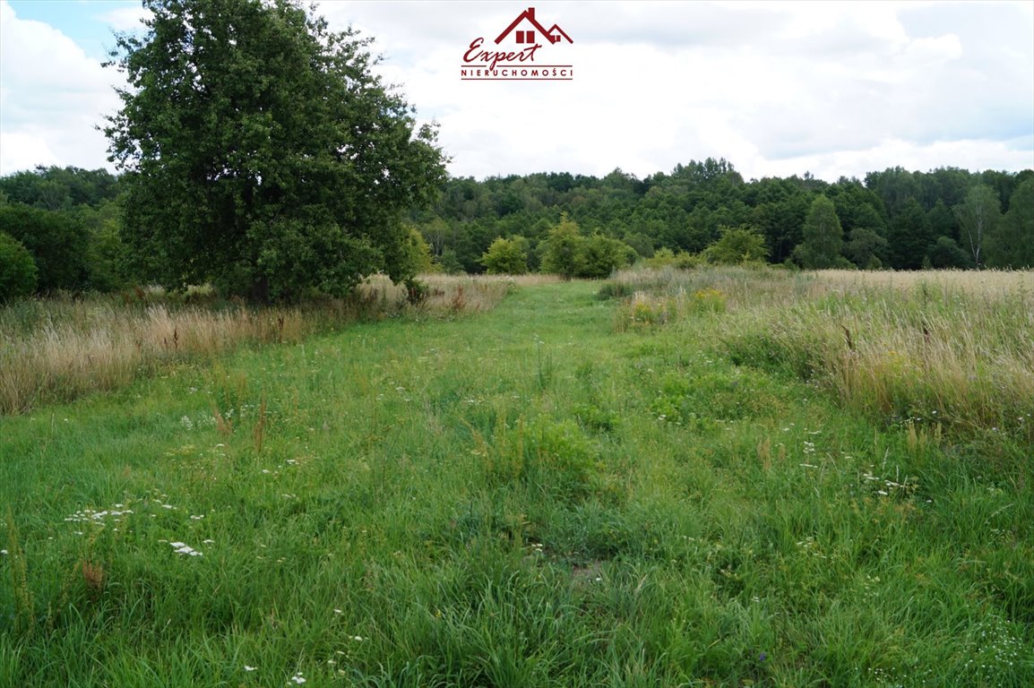 Działka rolna na sprzedaż Tchórzanka  58 000m2 Foto 5