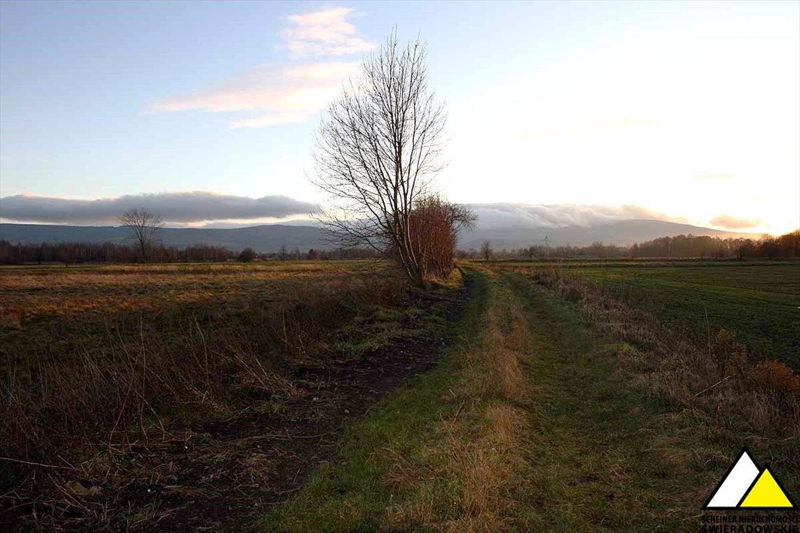 Działka budowlana na sprzedaż Mirsk  1 042m2 Foto 11