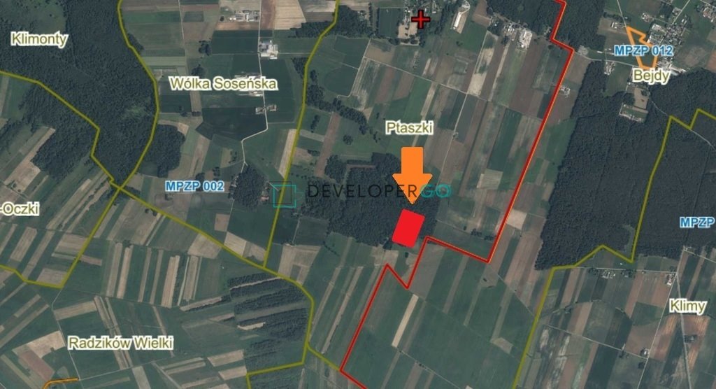 Działka leśna 2,65 ha w Ptaszkach – idealna na inwestycję Ptaszki  26 500m2 Foto 1