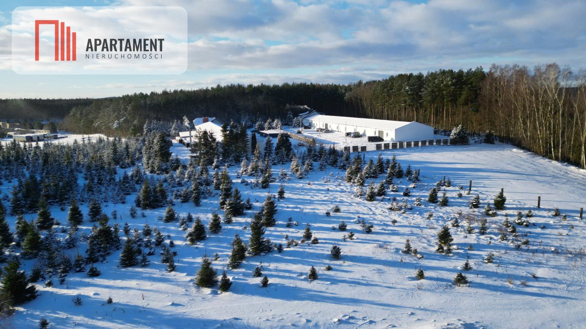 Działka budowlana na sprzedaż Mezowo  1 026m2 Foto 7