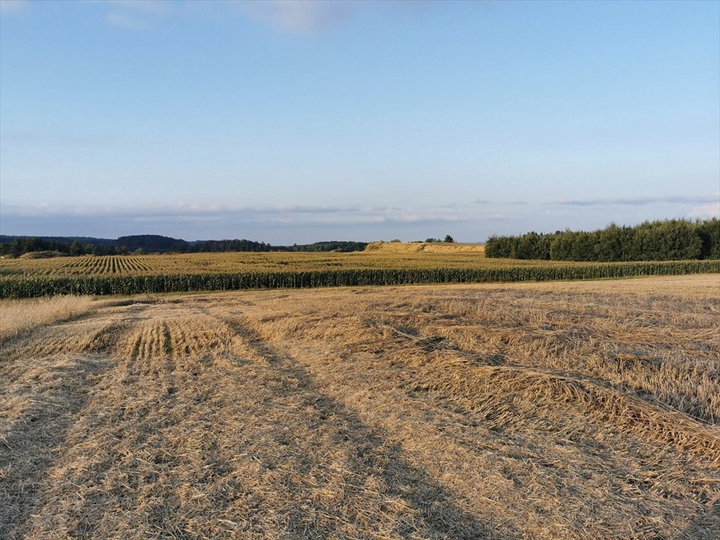 Działka inna na sprzedaż Jastrowie, Jastrowie  71 618m2 Foto 13