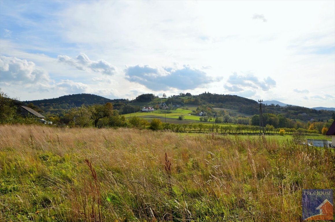 Działka budowlana na sprzedaż Kostrza  5 900m2 Foto 6