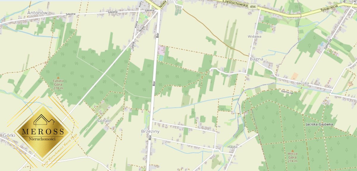 Zapraszam do zakupu działki rekreacyjnej 3419 m² z drogą dojazdową Panki  3 419m2 Foto 1