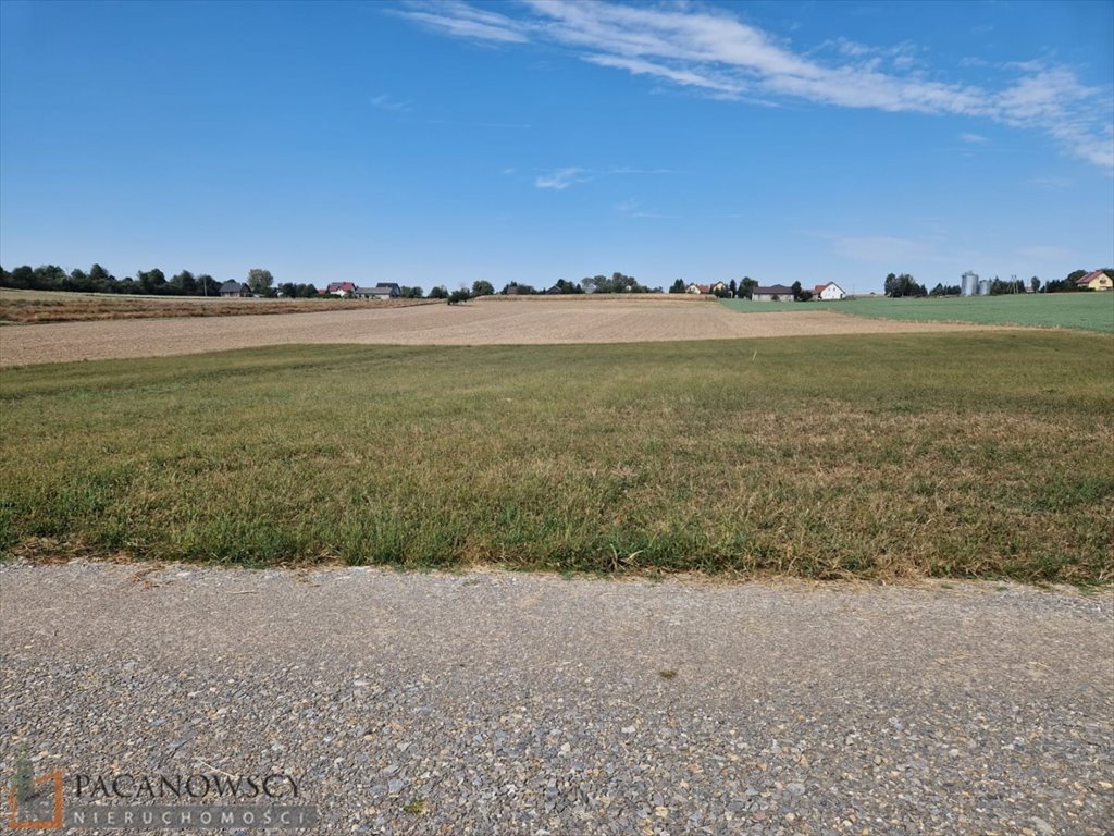 Działka budowlana na sprzedaż Sieciechowice  1 000m2 Foto 6