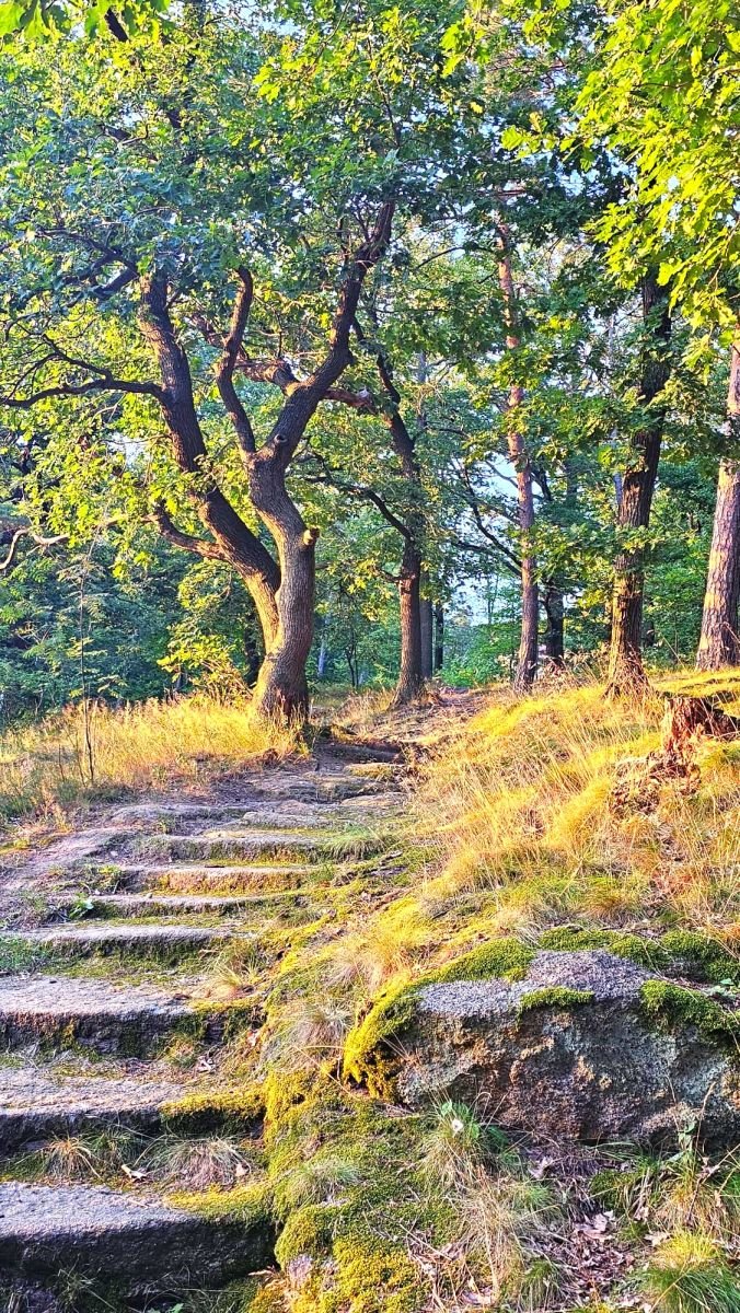 Mieszkanie trzypokojowe na sprzedaż Sobótka  70m2 Foto 14