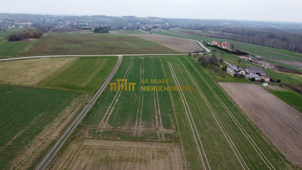 Działka rolna na sprzedaż Kraczkowa  1 700m2 Foto 3