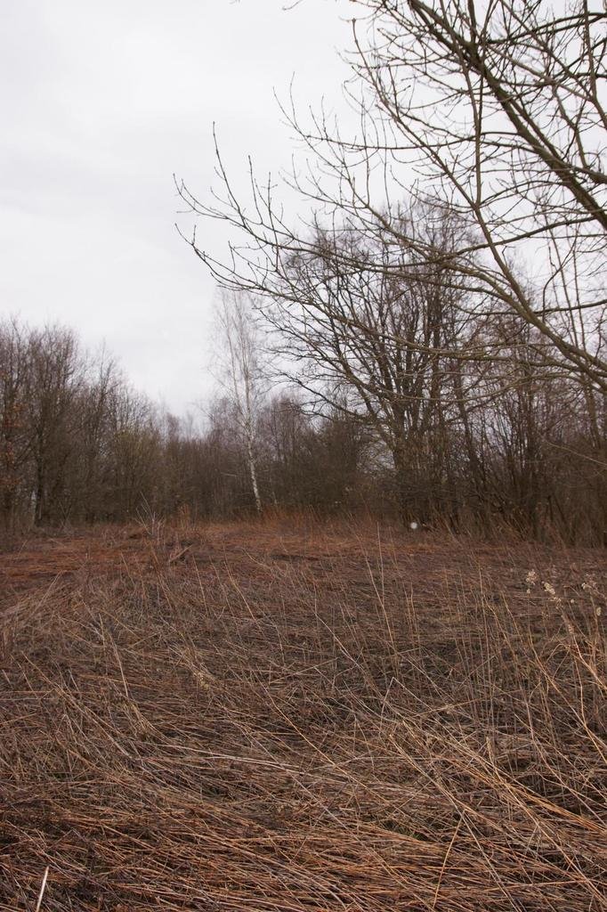 Duża działka 6000 m² z mediami, idealna pod pensjonat Kazimierz Dolny  6 000m2 Foto 1