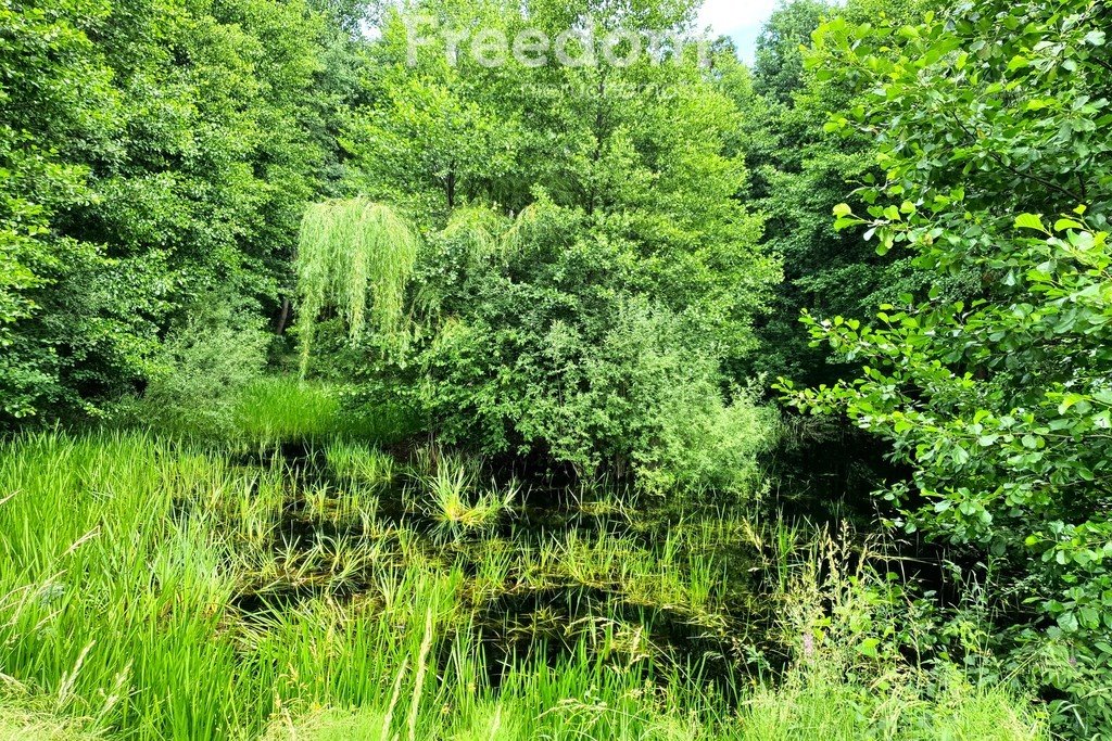 Działka inna na sprzedaż Turze Rogi  22 967m2 Foto 5