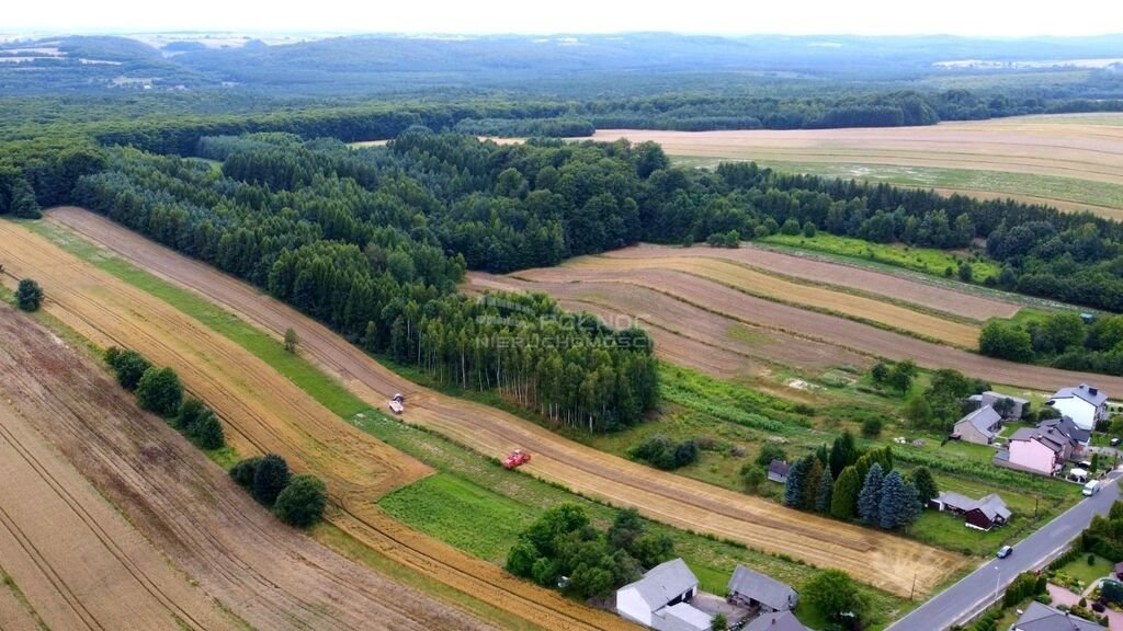 Działka budowlana na sprzedaż Gołaczewy, Jasna  26 808m2 Foto 3