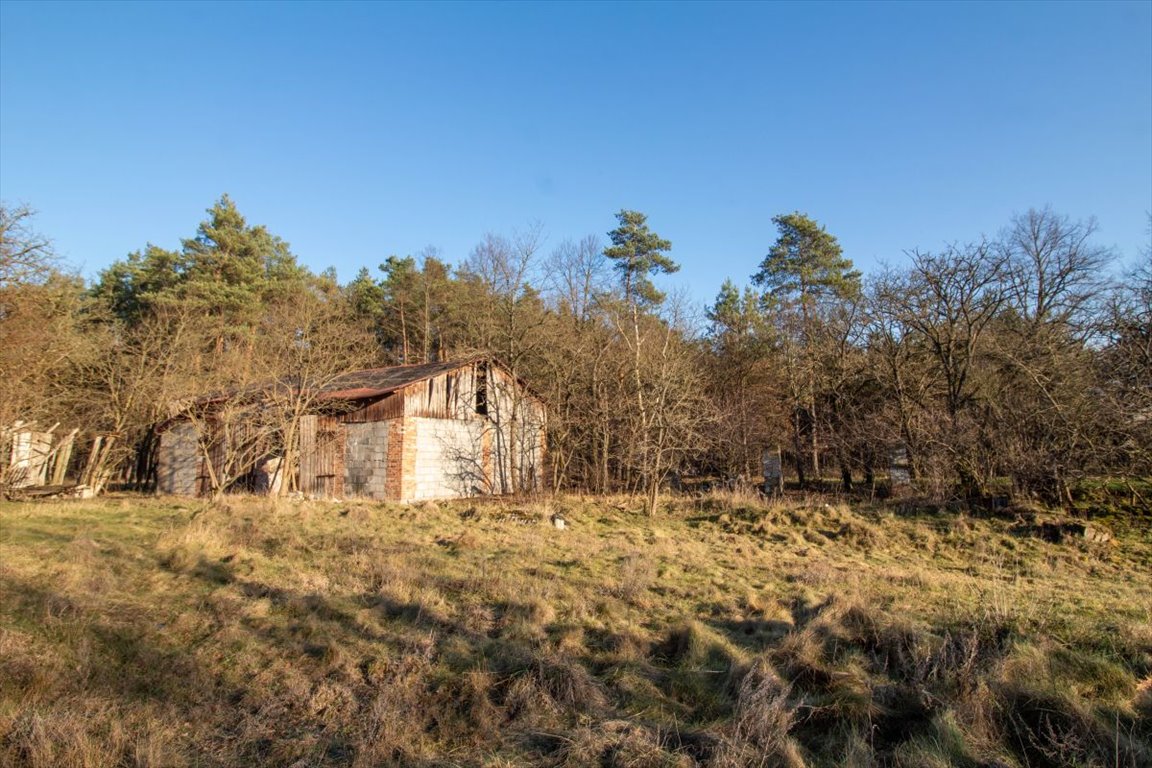 Działka budowlana na sprzedaż Tanina, Brasowe  80 411m2 Foto 5