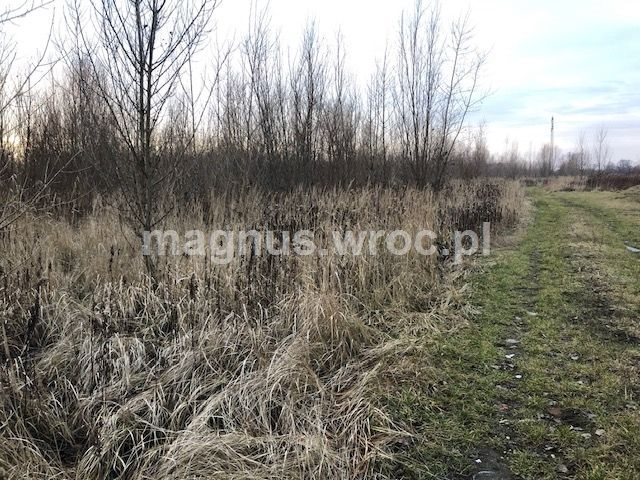 Działka budowlana na sprzedaż Siechnice 2 772m2 Foto 1 Działka budowlana na sprzedaż Siechnice 2 772m2 Foto 1