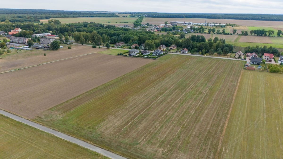 Działka budowlana na sprzedaż Hadra, Szkolna  14 136m2 Foto 9