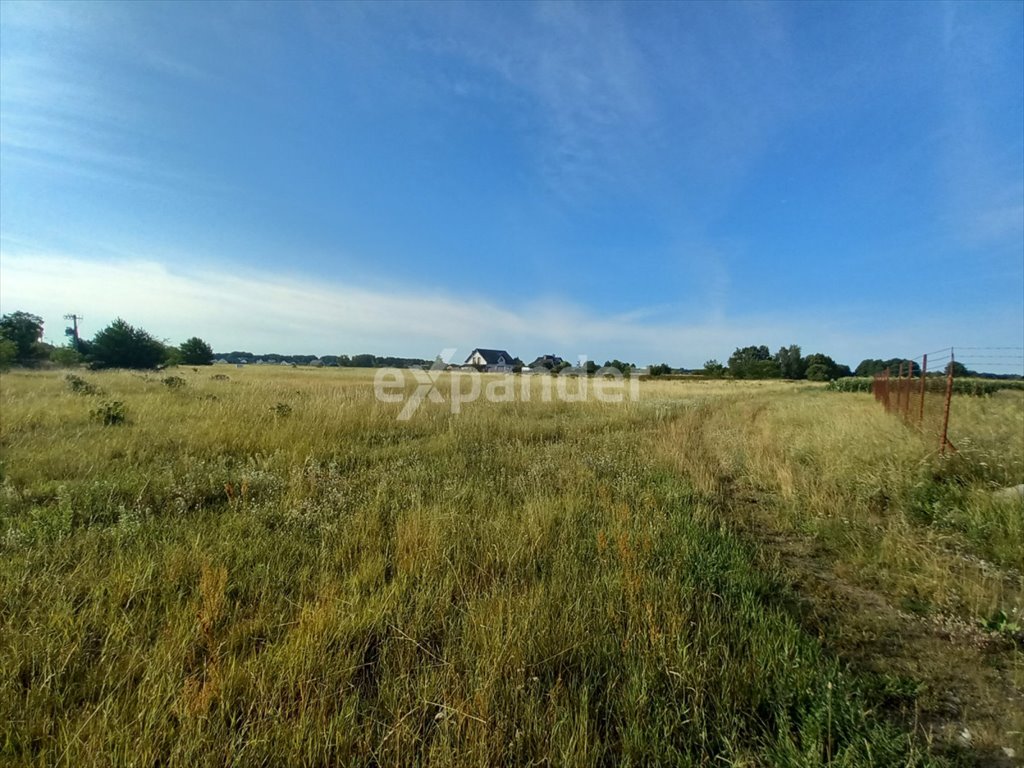 Działka rolna na sprzedaż Kruszyn Krajeński, Lipowa  28 705m2 Foto 1