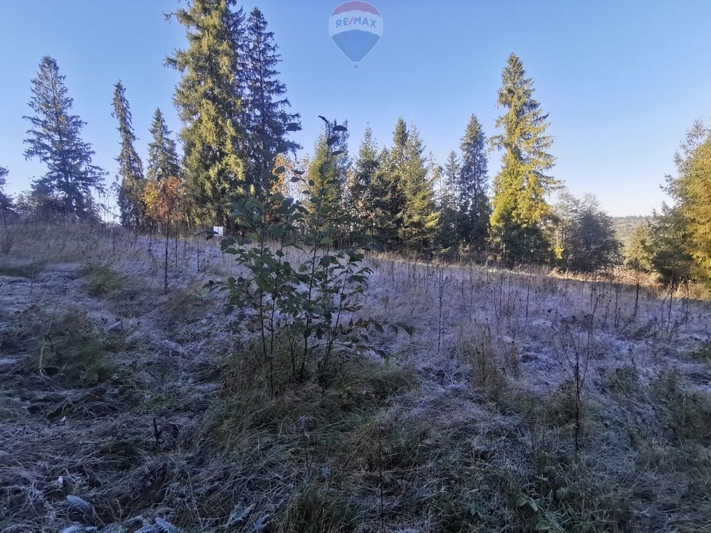 Działka leśna na sprzedaż Poronin  1 720m2 Foto 8