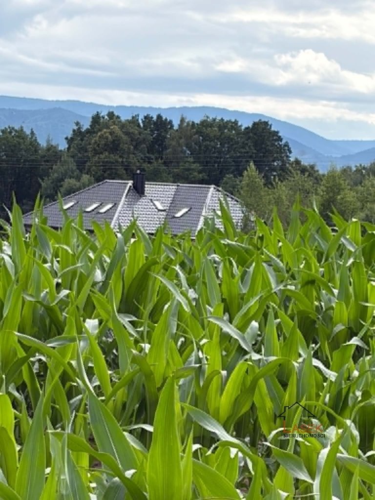 Działka 40 arów z widokiem na góry - asfalt, media, MN Frydrychowice  4 000m2 Foto 1