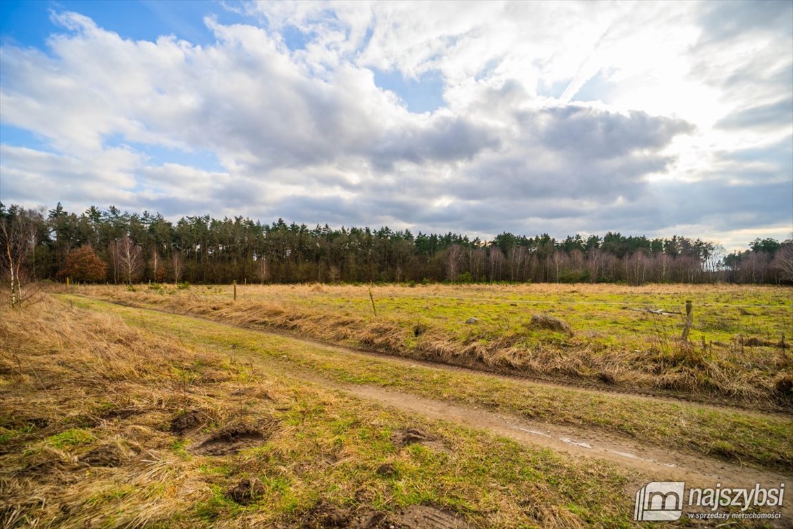Działka rolna 7 121 m² z dostępem do mediów i utwardzoną drogą Nowogard, Obrzeża miasta  7 121m2 Foto 1
