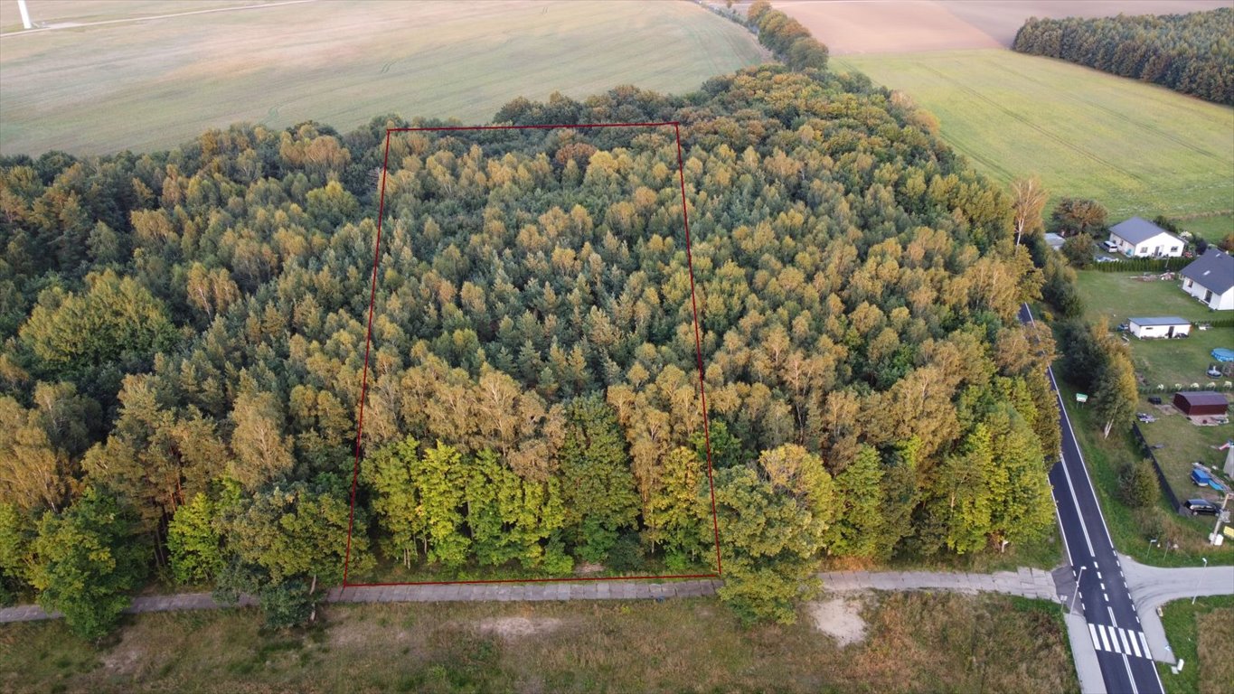 Działka leśna z prawem budowy na sprzedaż Głobino, Przy Lesie  6 200m2 Foto 3