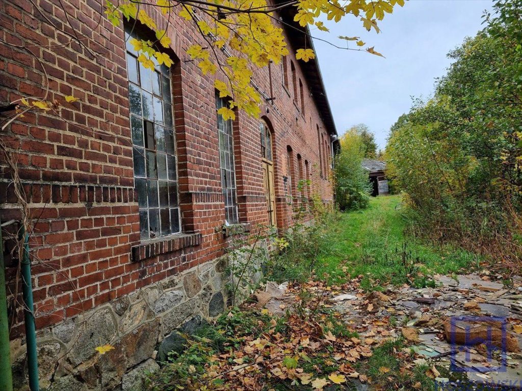 Lokal użytkowy na sprzedaż Pobiedna, Wola Sokołowska, Dworcowa  652m2 Foto 2