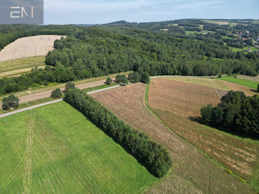 Działka budowlana na sprzedaż Konieczkowa  4 600m2 Foto 14