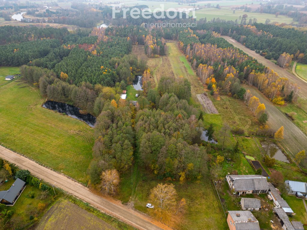 Działka siedliskowa na sprzedaż Strobin  32 190m2 Foto 4