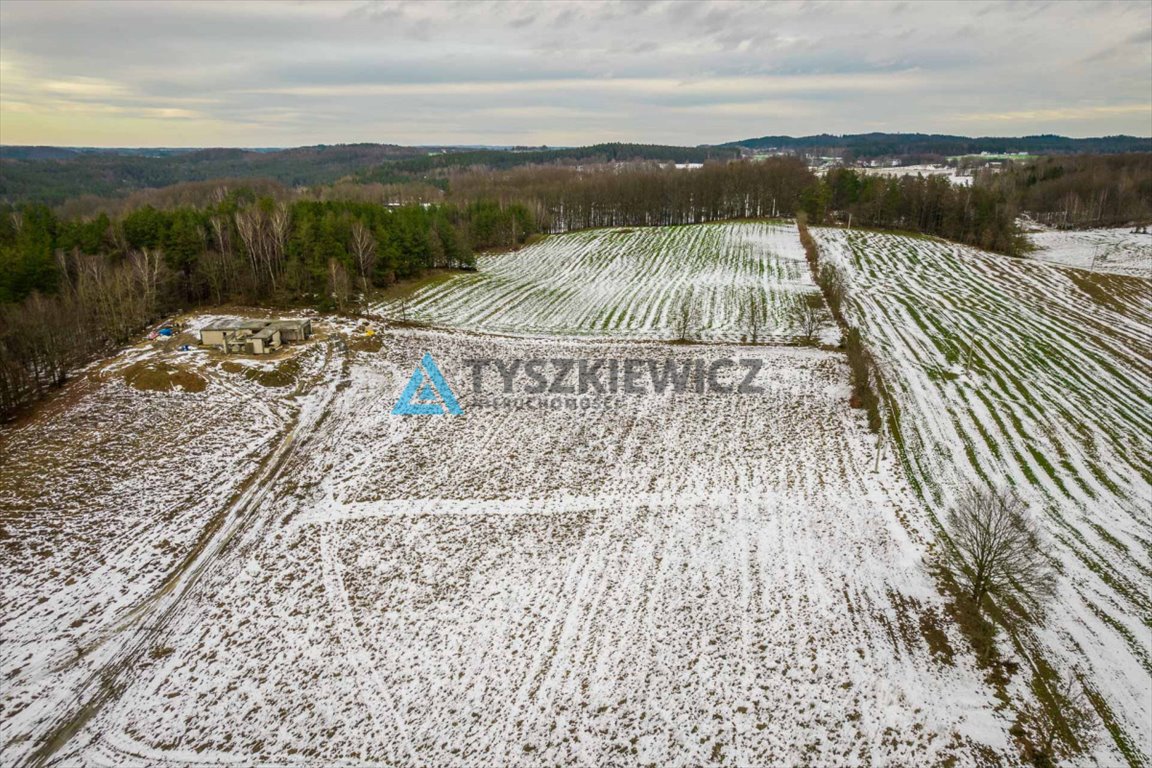 Działka budowlana na sprzedaż Gołubie  1 147m2 Foto 4