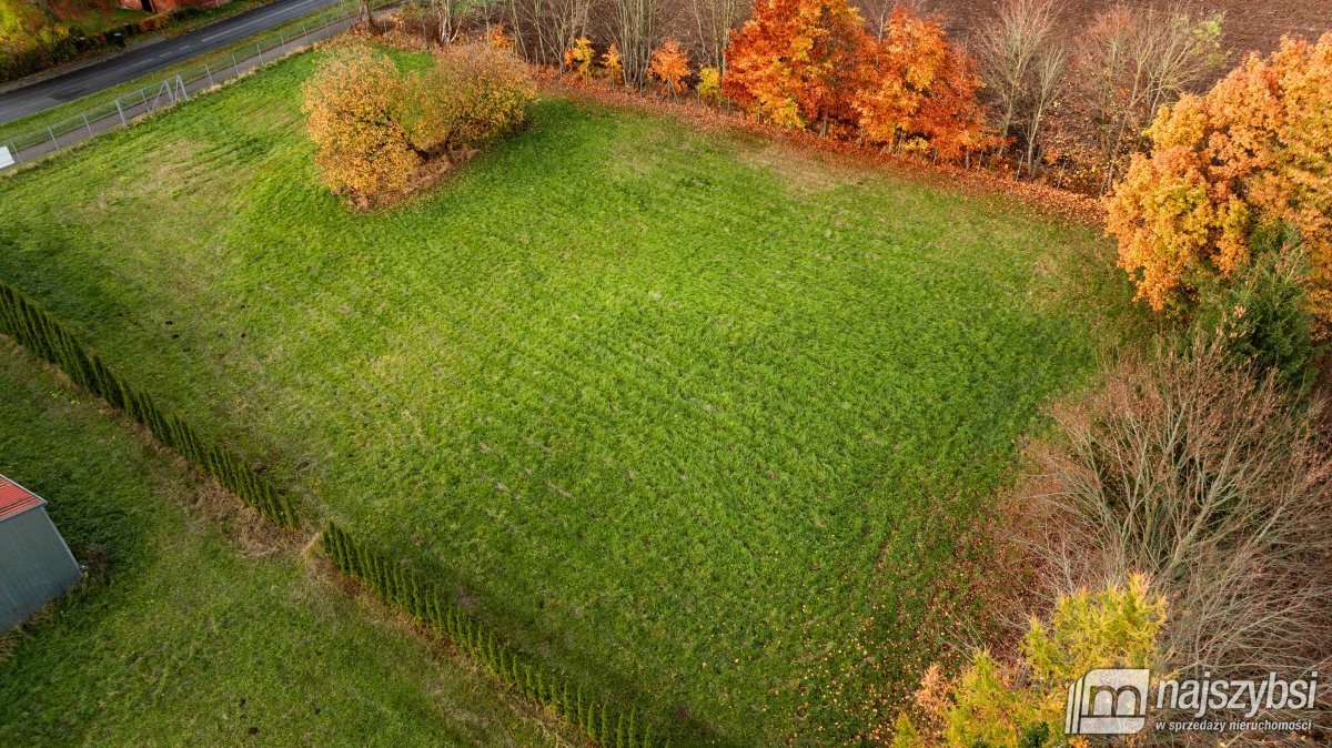 Działka budowlana na sprzedaż Stojkowo, Wieś  3 344m2 Foto 4