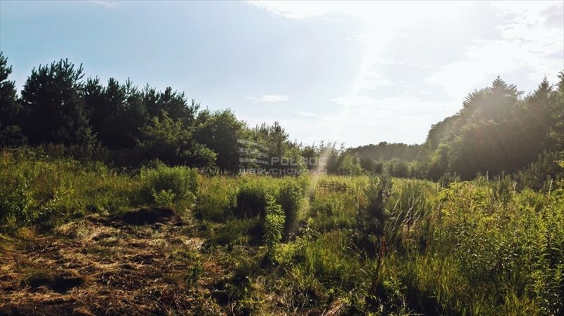 Działka budowlana na sprzedaż Niesułowice, Wozowa 1 486m2 Foto 1 Działka budowlana na sprzedaż Niesułowice, Wozowa 1 486m2 Foto 1