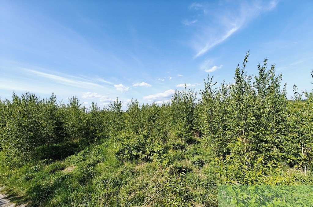 Działka budowlana na sprzedaż Goleniów  980m2 Foto 9