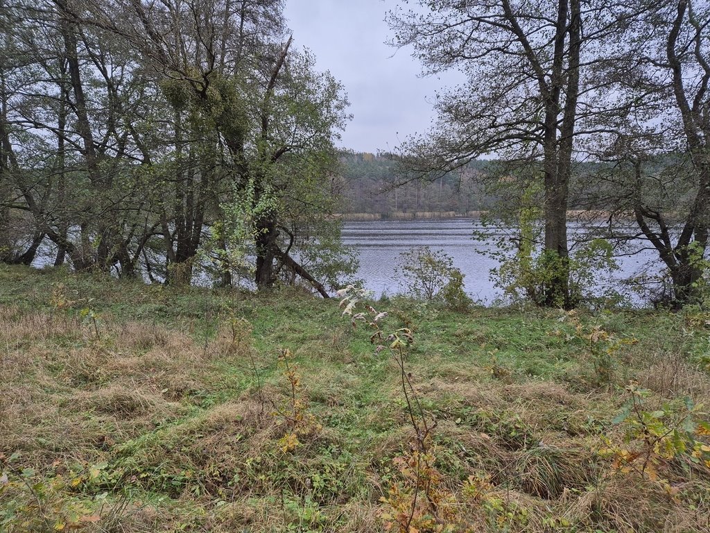 Działka budowlana na sprzedaż Chłopowo  20 400m2 Foto 3