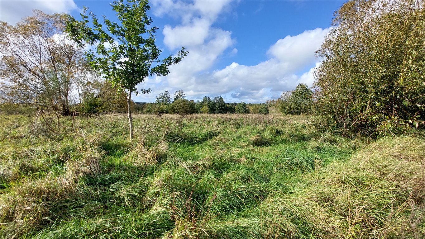 Działka komercyjna na sprzedaż Słupsk, Ryczewo, ul. Sportowa  7 554m2 Foto 6