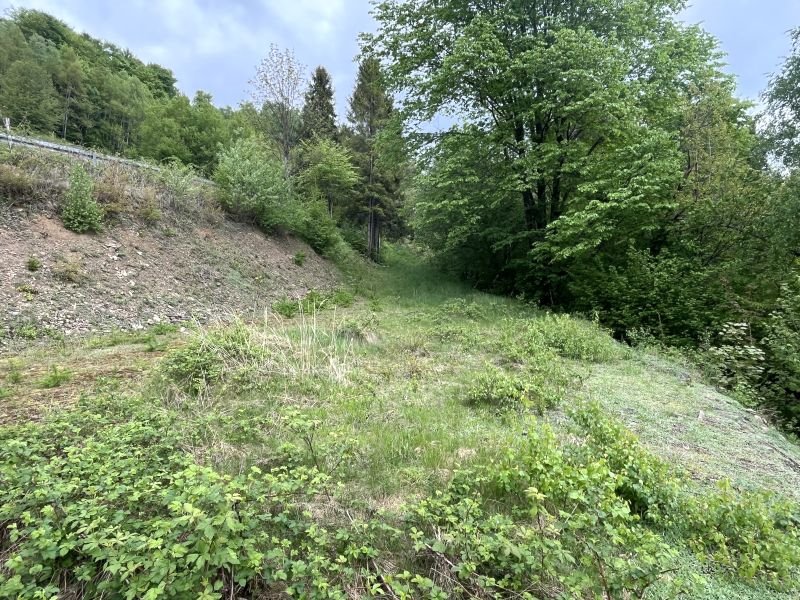 Działka budowlana na sprzedaż Wisła, Wisła  1 408m2 Foto 10