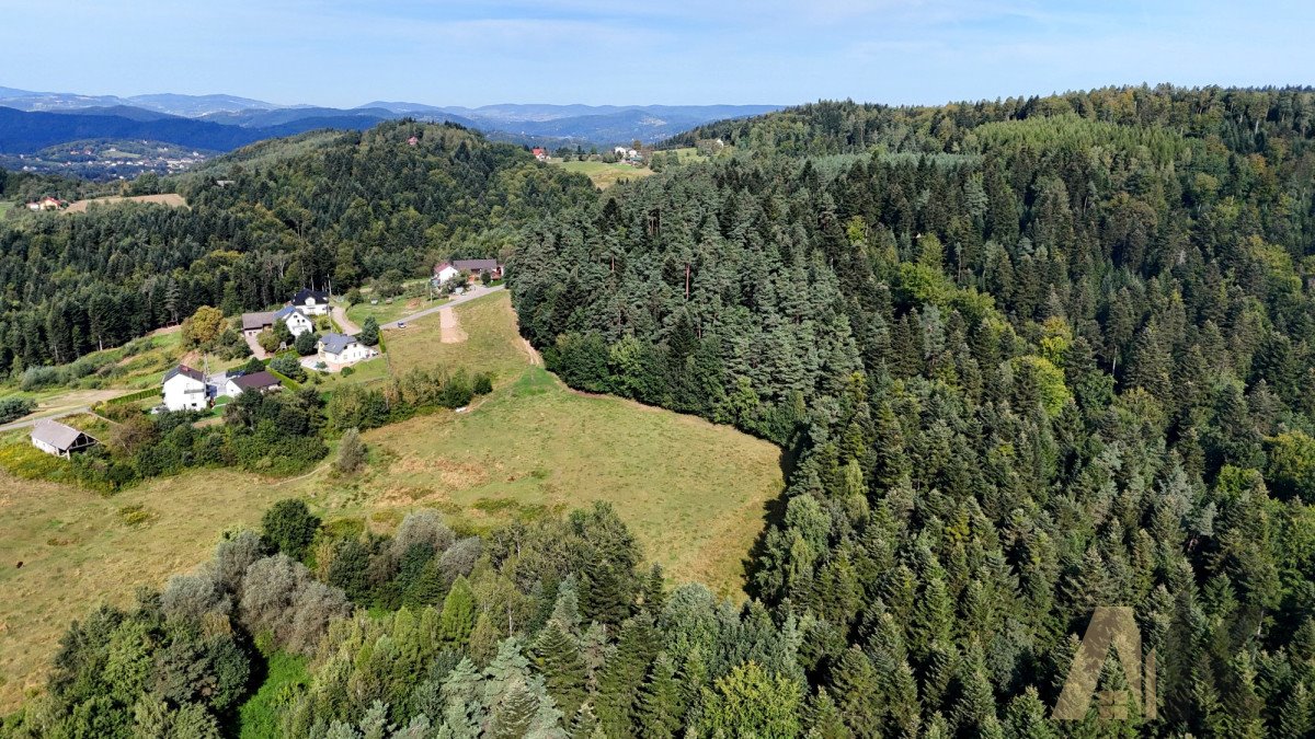 Działka rekreacyjna na sprzedaż Bartkowa-Posadowa  21 556m2 Foto 6