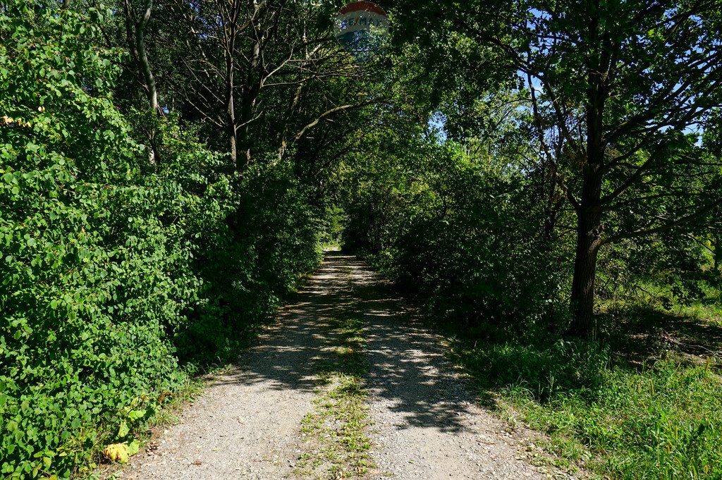 Działka budowlana na sprzedaż Siestrzeń, Kwiatowa  1 783m2 Foto 7