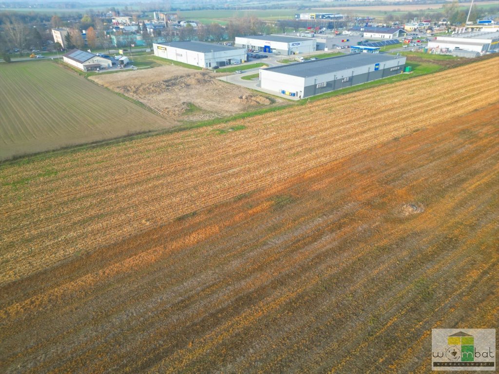 Działka rolna na sprzedaż Strzegom  5 114m2 Foto 8