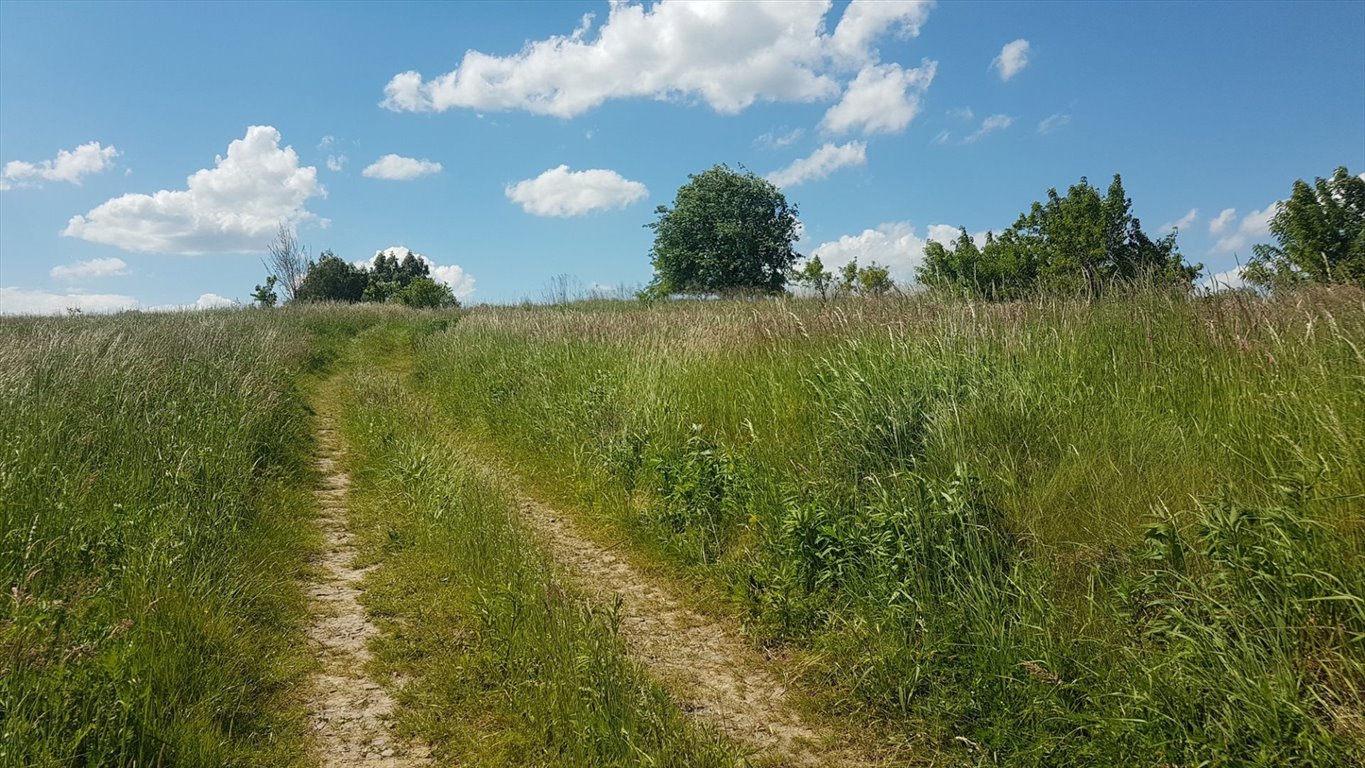 Działka budowlana na sprzedaż Rybna, Dębowa  800m2 Foto 3