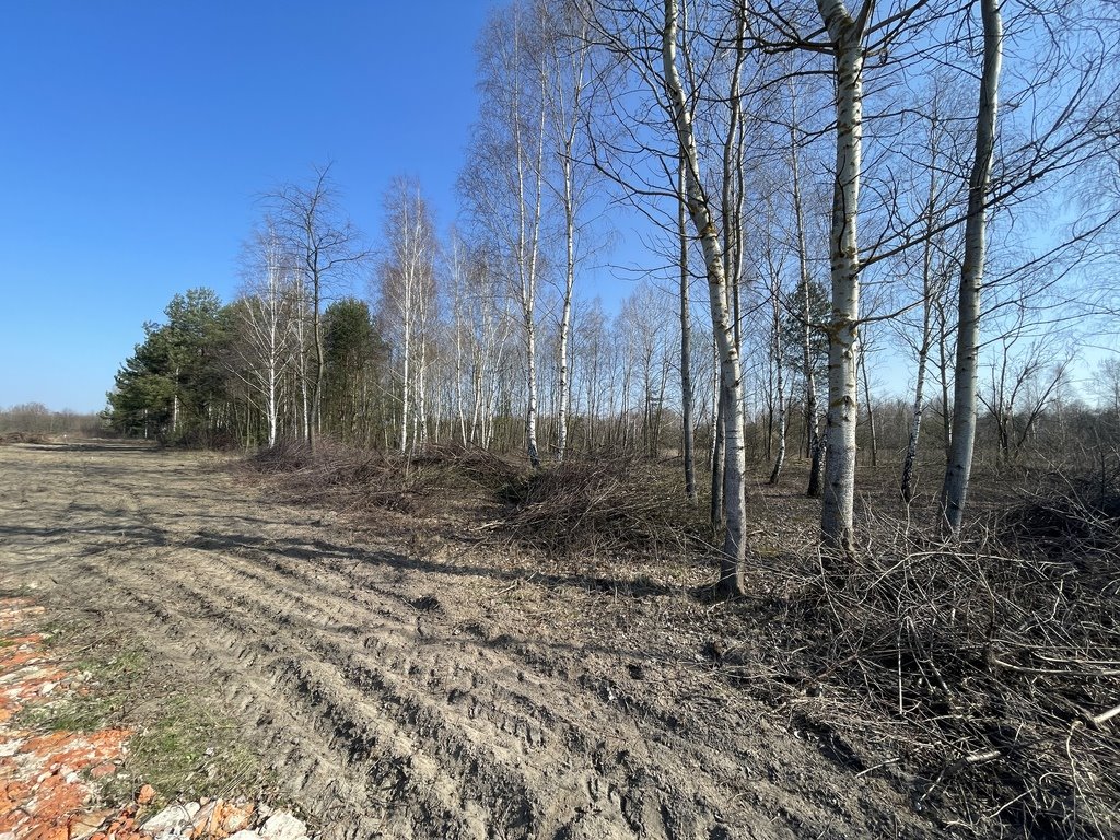 Działka rolna na sprzedaż Jedlicze A, Długa  3 000m2 Foto 5