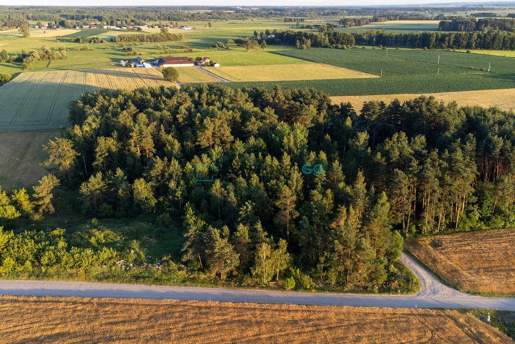 Działka budowlana na sprzedaż Podhorodnianka  5 900m2 Foto 4