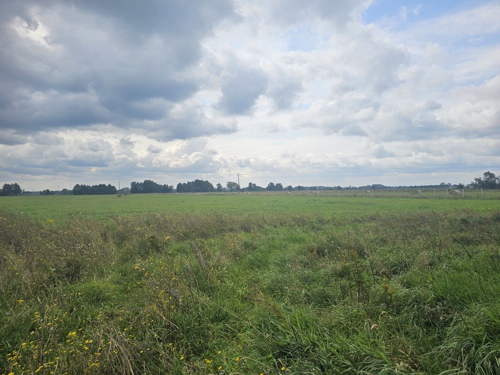 Działka budowlana na sprzedaż Prądocin  1 104m2 Foto 2