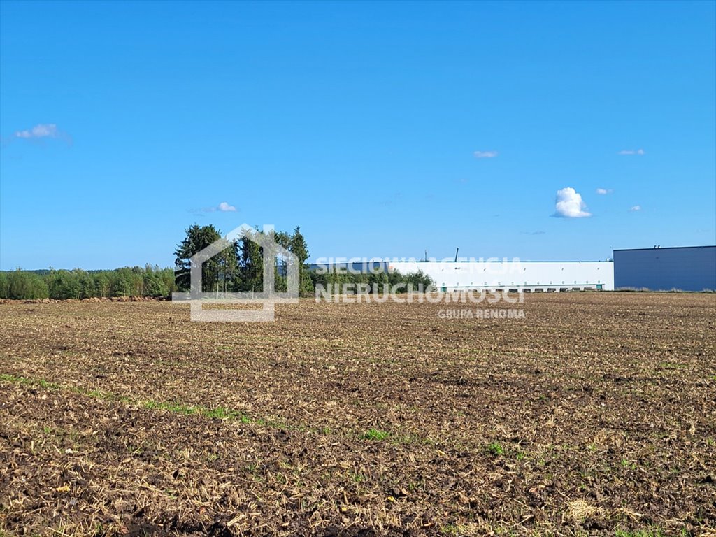 Działka rolna na sprzedaż Gdańsk, Kokoszki  28 990m2 Foto 1
