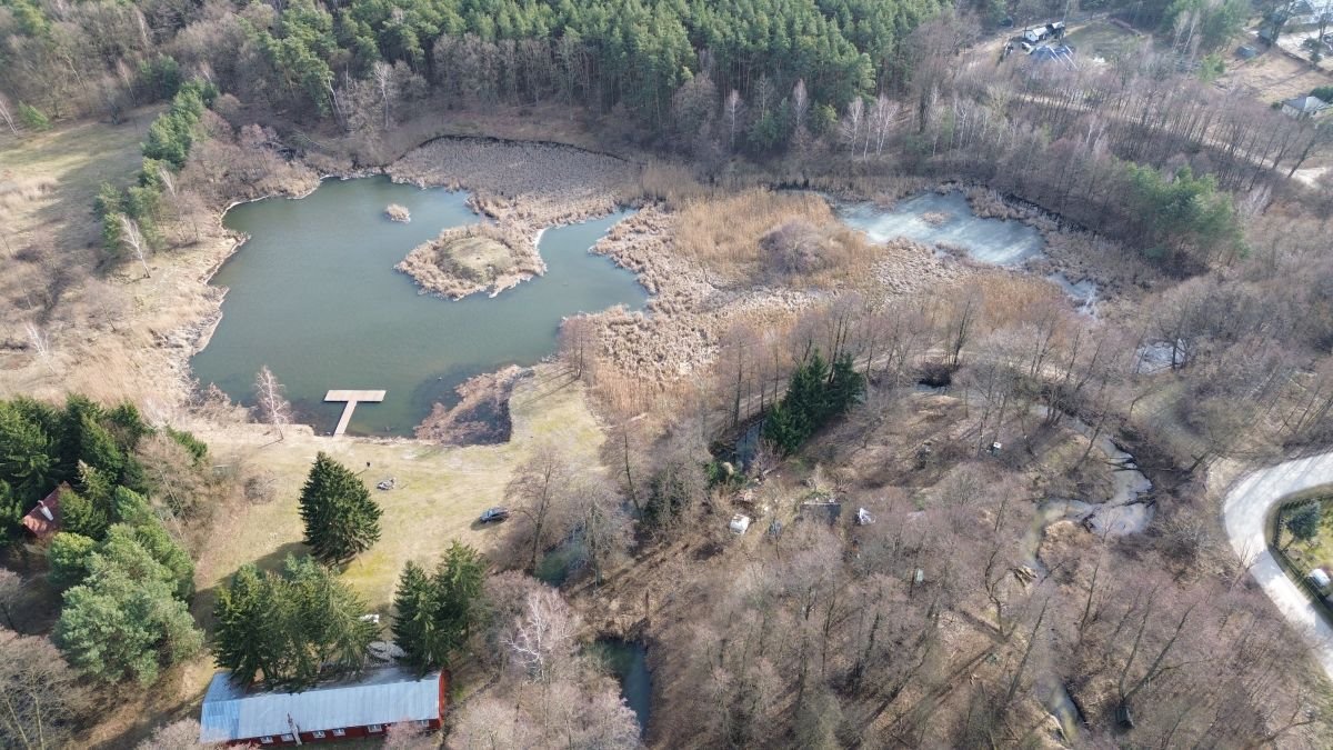 Lokal użytkowy na sprzedaż Tartak  52 600m2 Foto 37